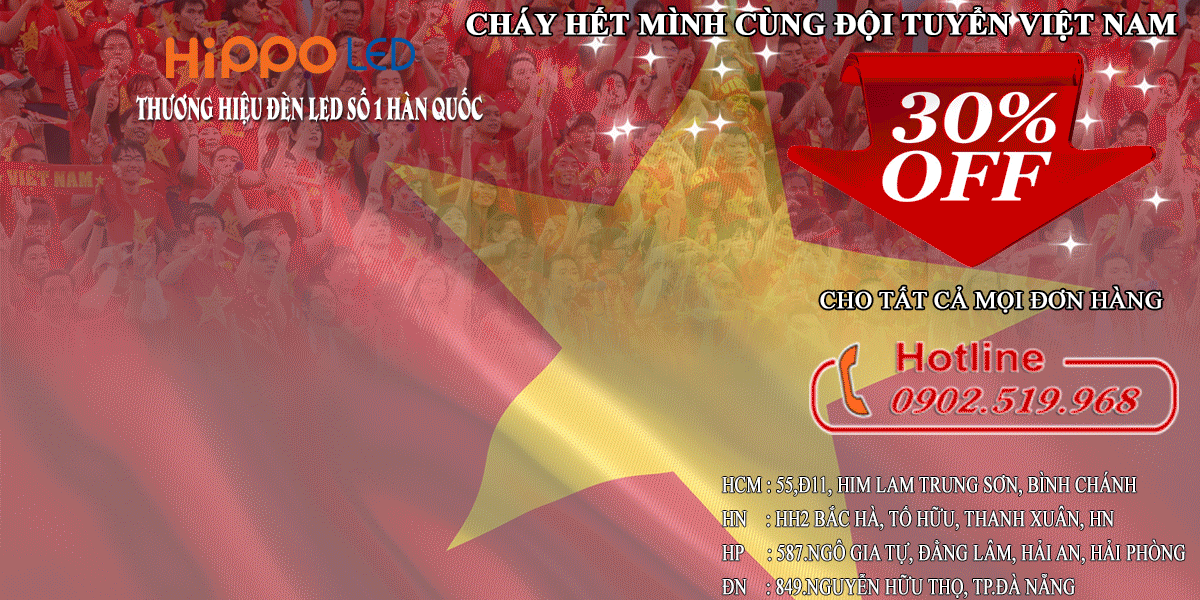 hippo led chúc mừng đội tuyển việt nam